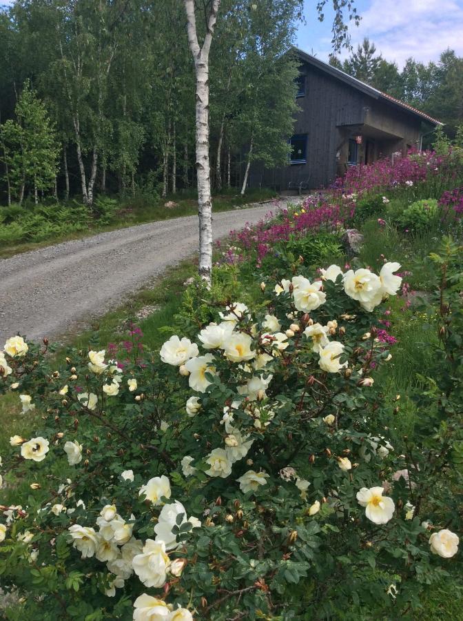 Mysig Och Modern Stuga Pa Snoegard, Naera Havet Och Naturen Lur  Eksteriør bilde